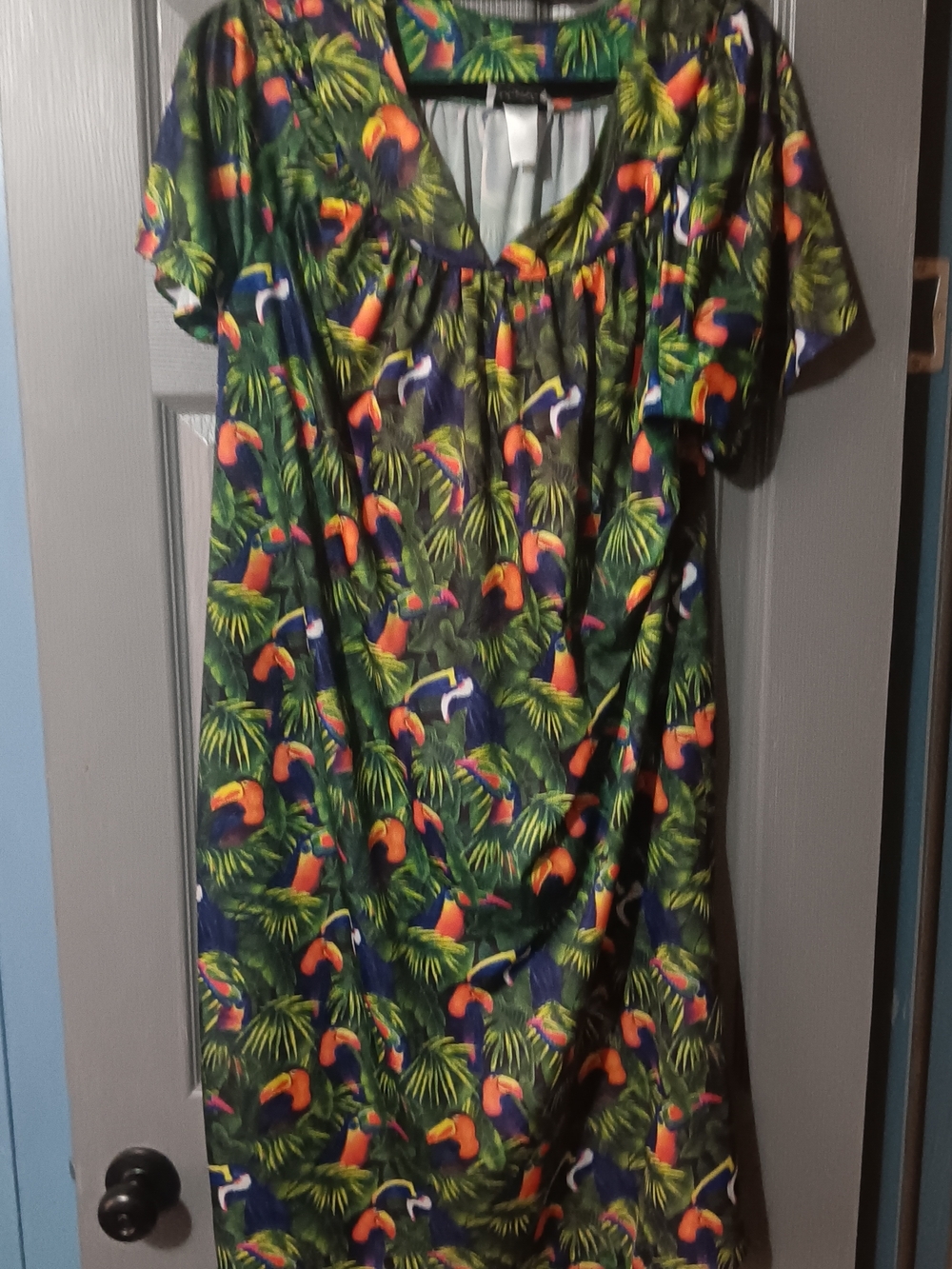 Anthony Richards Bright Tropical Toucan House Dress in Green and Blue